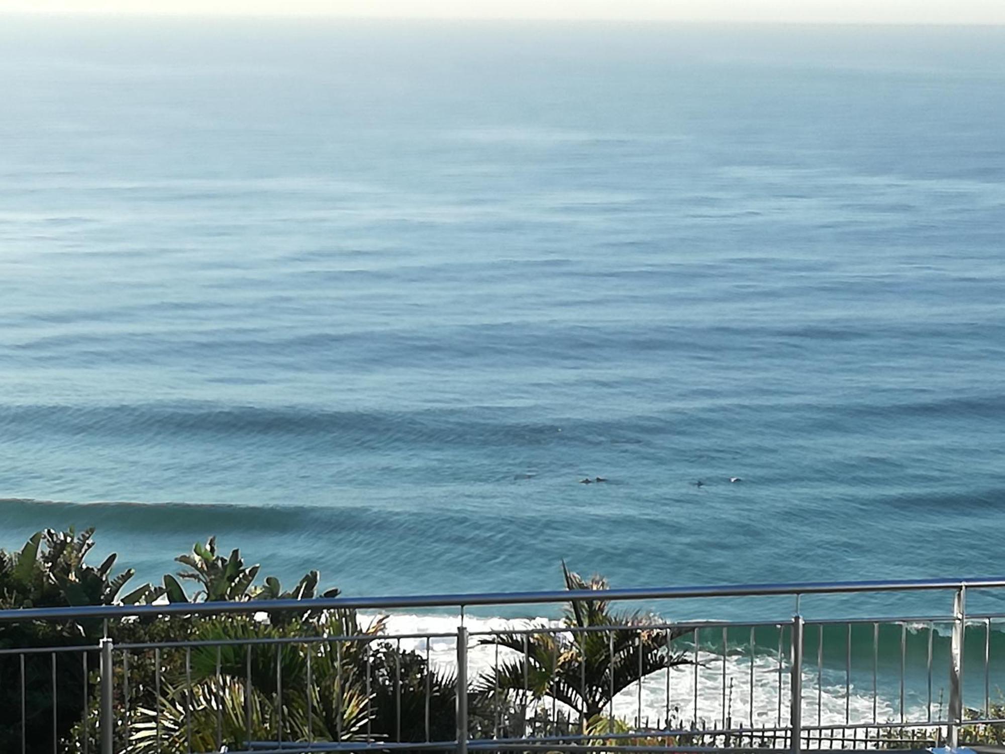 Dolphin Point B&B Durban Exterior foto